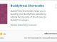BuddyPress Shortcodes – плагин для добавления элементов соцсети
